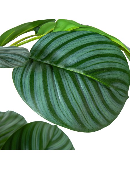 Planta artificial 3 troncos calathea