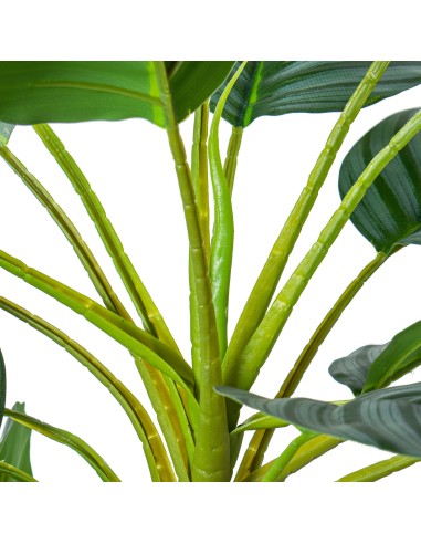 Planta artificial 3 troncos calathea