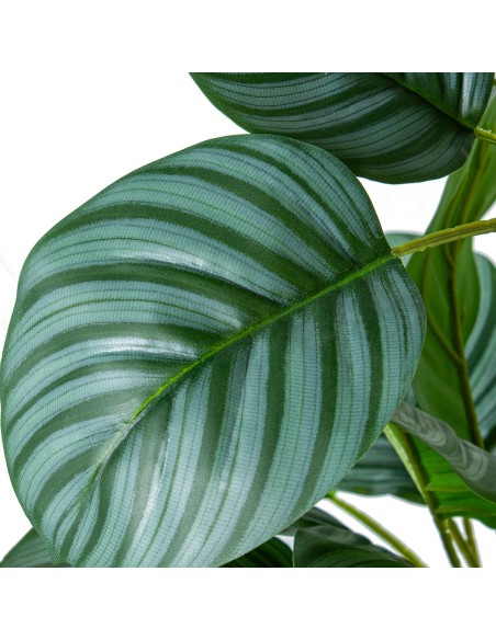 Planta artificial 3 troncos calathea