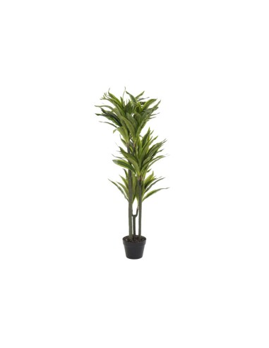 Planta artificial dracaena en verde