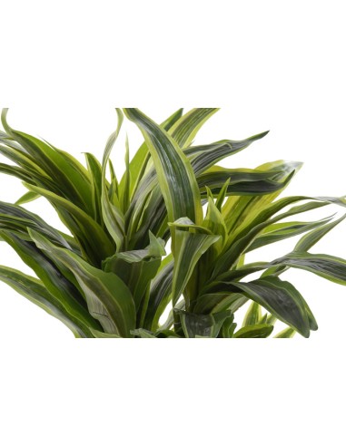 Planta artificial dracaena en verde