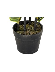 Planta Artificial Hevea Verde 2