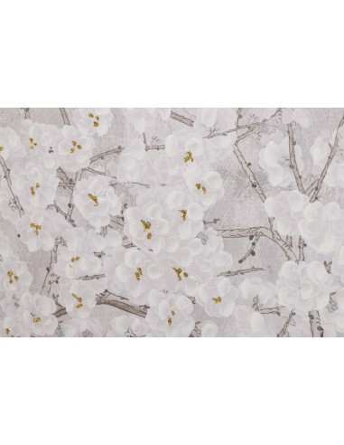 Cuadro lienzo almendro con marco blanco