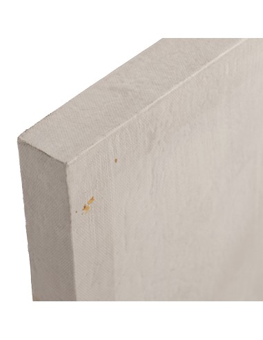 Cuadro de flores sobre lienzo