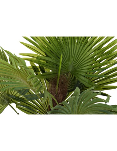 Planta palmera verde