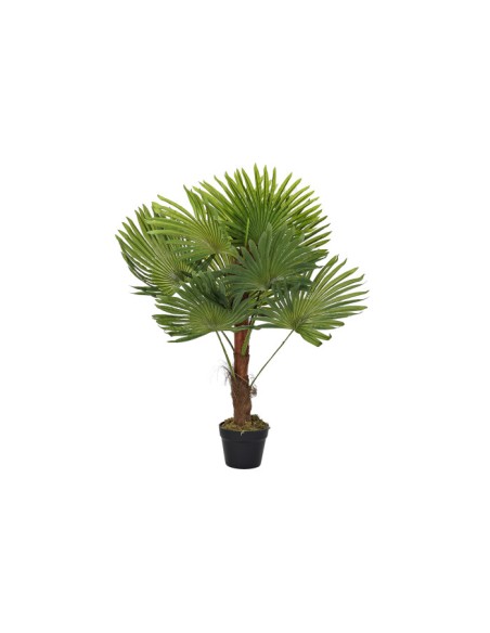 Planta palmera verde Planta palmera verde