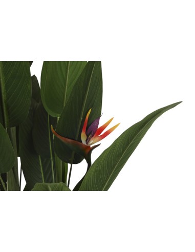 Planta poliéster ave de paraíso verde