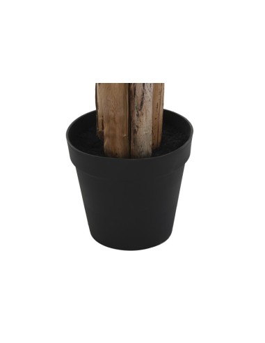 Planta poliéster palmera bananera verde