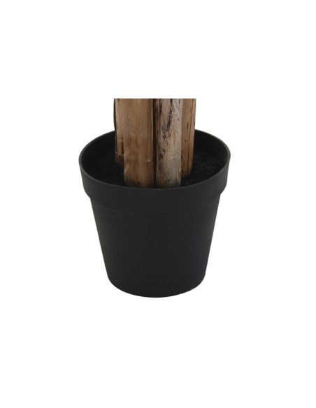 Planta poliéster palmera bananera verde