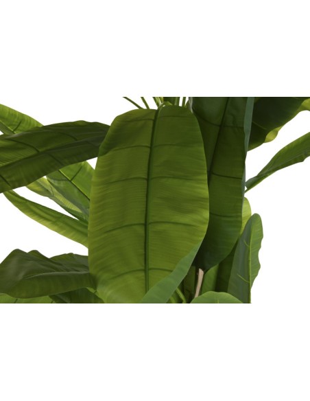 Planta poliéster palmera bananera verde