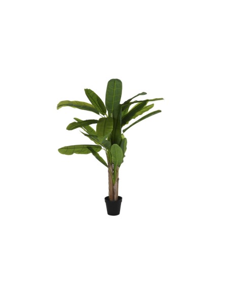 Planta poliéster palmera bananera verde Planta poliéster palmera bananera verde