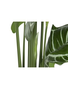 Planta artificial anthurium regale verde 2