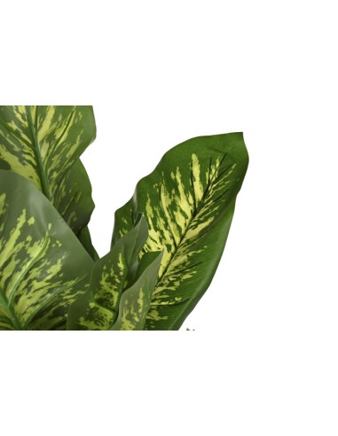 Planta artificial dieffenbachia