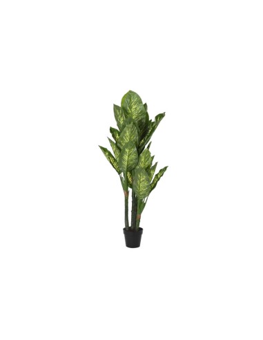 Planta artificial dieffenbachia