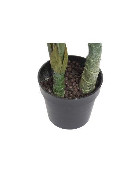 Planta monstera