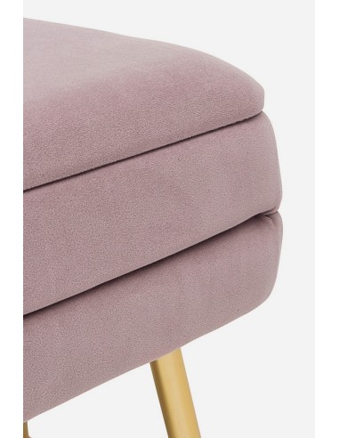 Banqueta Descalzadora con Baúl Rosa