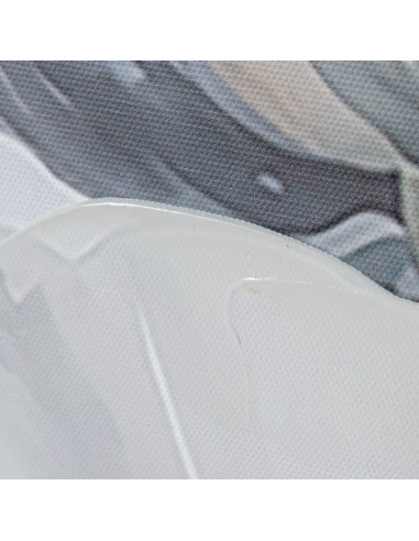 Cuadros de Flores Blancas