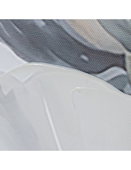 Cuadros de Flores Blancas