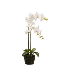Orquídea blanca de poliéster