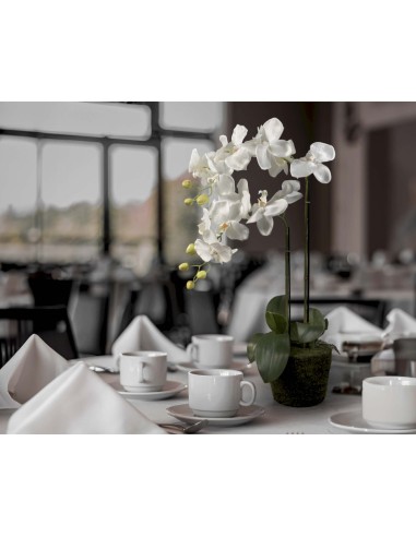 Orquídea blanca de poliéster