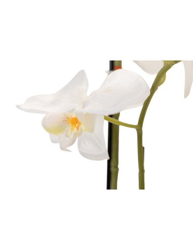 Orquídea blanca de poliéster