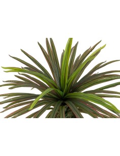 Planta Yucca con maceta realista 2