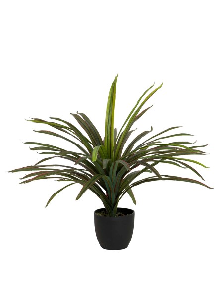 Planta Yucca con maceta realista