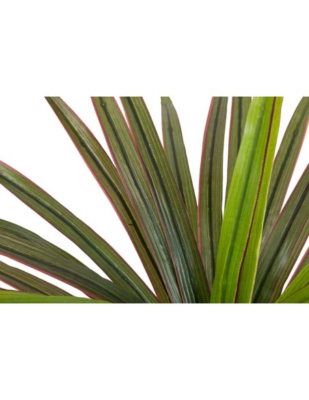 Planta Yucca con maceta realista