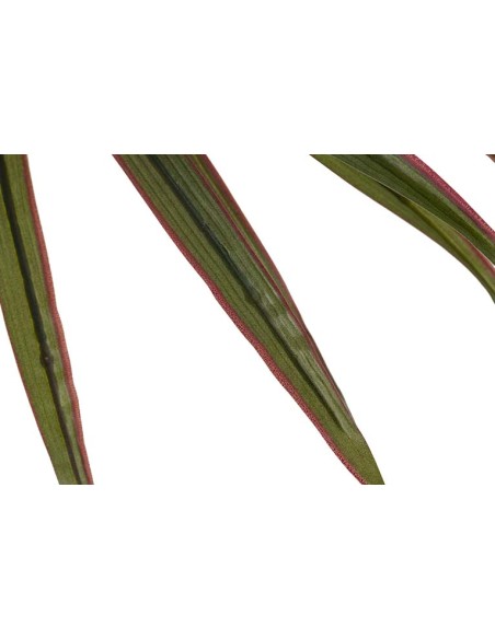 Planta Yucca con maceta realista