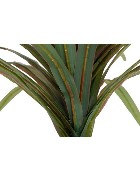 Planta Yucca con maceta realista
