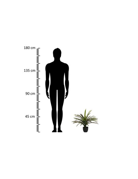 Planta Yucca con maceta realista