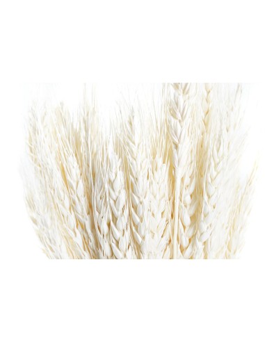 Rama espiga seca beige