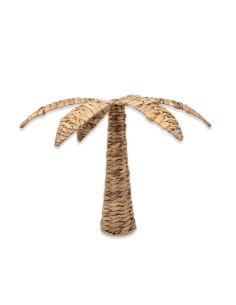 Palmera natural de Jacinto de agua