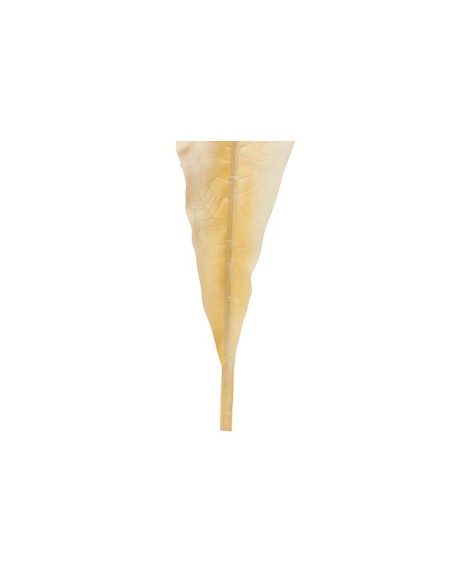 Hoja poliéster beige 15x1x79cm