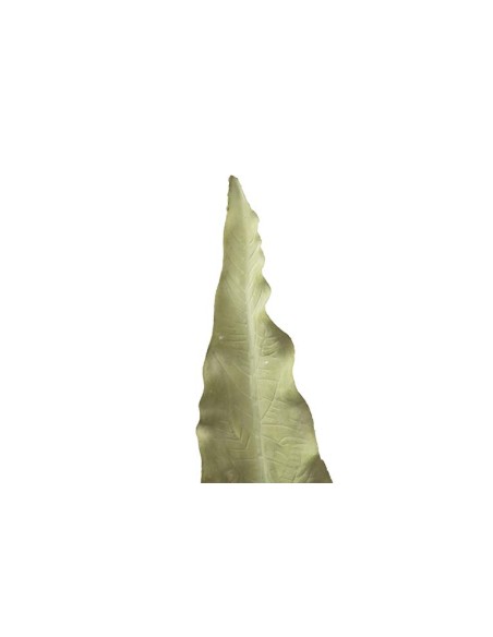 Hoja poliéster verde 15x1x86cm