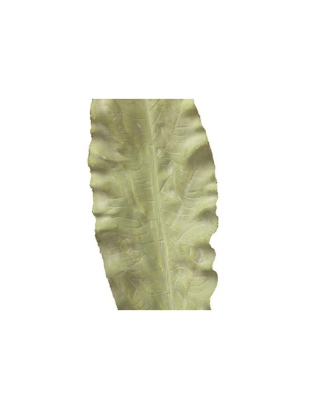 Hoja poliéster verde 15x1x86cm