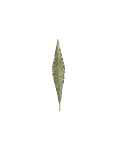 Hoja poliéster verde 15x1x86cm