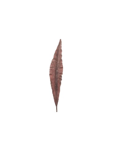 Hoja poliéster marrón 15x1x86cm