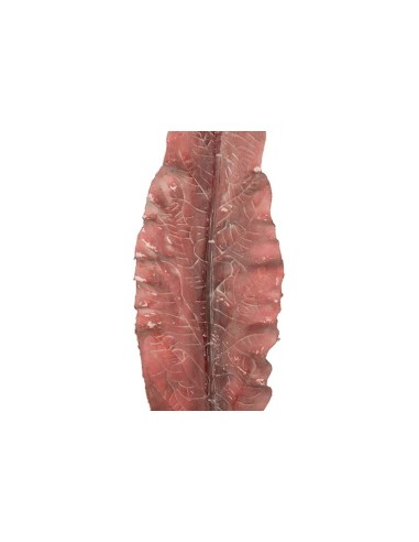 Hoja poliéster marrón 15x1x86cm