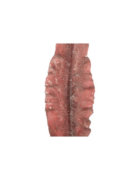 Hoja poliéster marrón 15x1x86cm