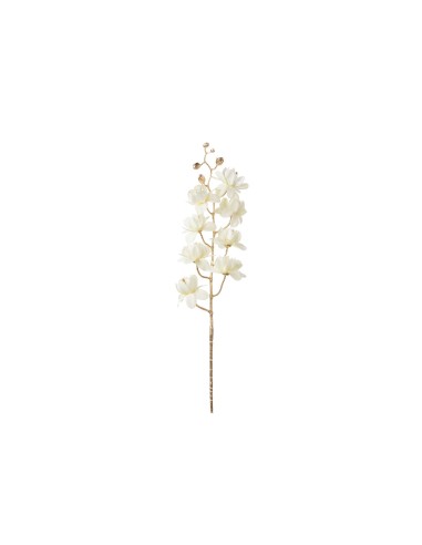 Rama bronce con flores beige