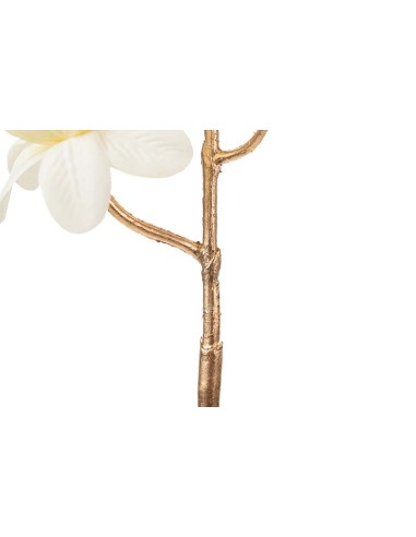 Rama bronce con flores beige