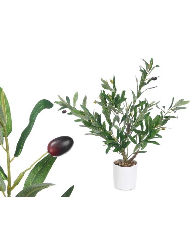 Planta olivo 58cm