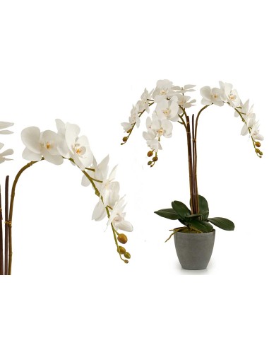 Orquidea blanca maceta conica gris jumbo