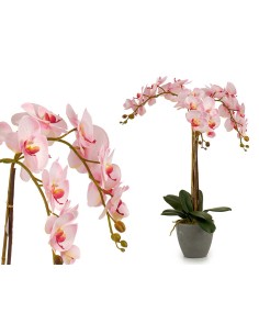 Orquídea rosa maceta cónica gris jumbo