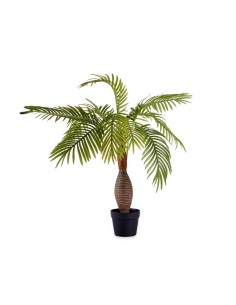 Planta con maceta palmera tallo ancho 90cm 2