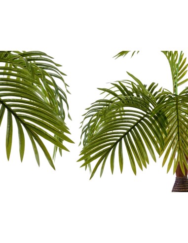 Planta con maceta palmera tallo ancho 90cm