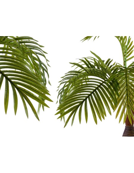 Planta con maceta palmera tallo ancho 90cm