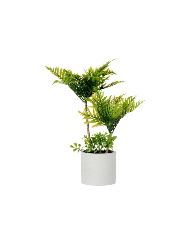 Maceta cemento grande palmera verde