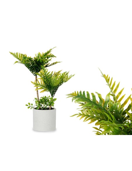 Maceta cemento grande palmera verde